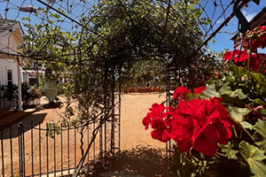 Rose Garden Stella Vista Verde Ranch