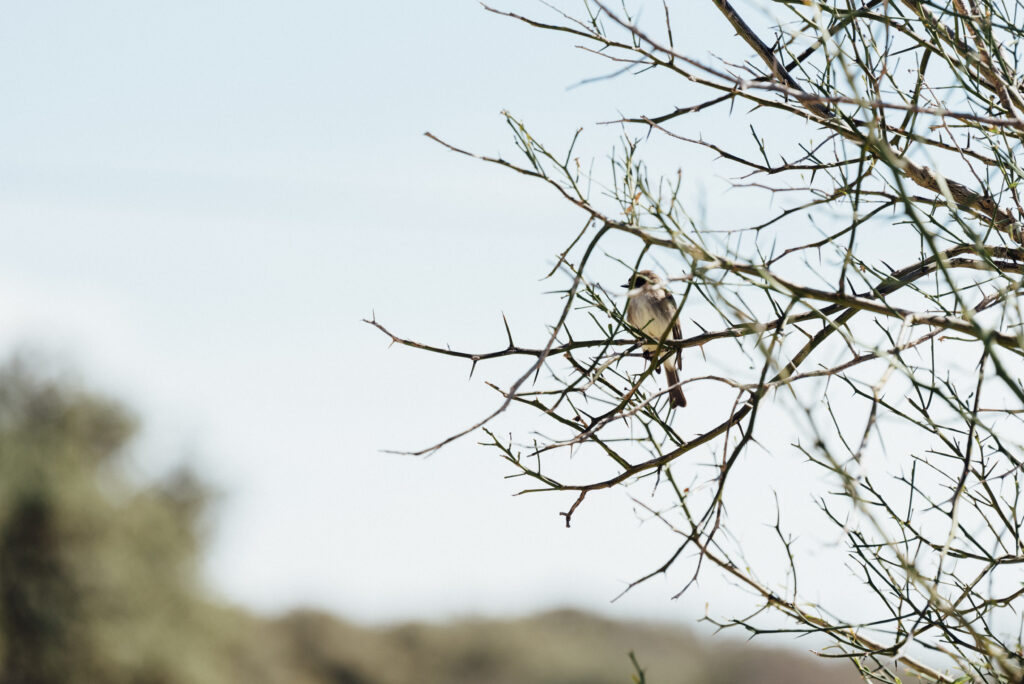 vista_verde_ranch_lisahause_230218LHG_057