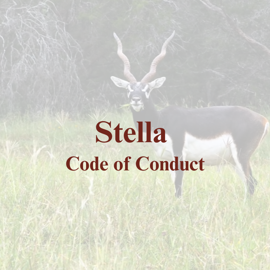 Stella Vista Verde Ranch