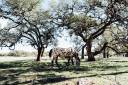 vista_verde_ranch_lisahause_230218LHG_016