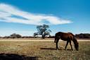 vista_verde_ranch_lisahause_230218LHG_014
