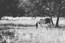 vista_verde_ranch_lisahause_230218LHG_012