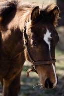 vista_verde_ranch_lisahause_230218LHG_010