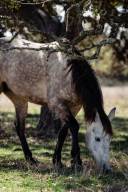 vista_verde_ranch_lisahause_230218LHG_011