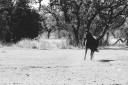 vista_verde_ranch_lisahause_230218LHG_055