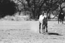 vista_verde_ranch_lisahause_230218LHG_054